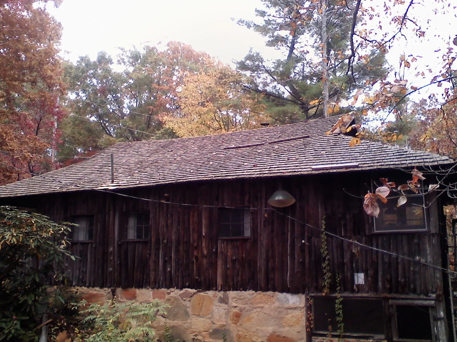 Weathered wood shake roof on a rustic board sided cabin in Wilton